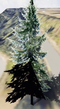 TreeSolved1.jpg