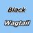 Black Wagtail