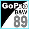 BMW Z4 GT3 - GoPro Black-White Team