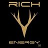 HAAS Rich Energy Team 2019 (Fantasy)