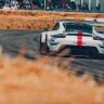 2019-2020 WEC Porsche GT team #91 & #92
