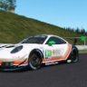 Porsche GT3R #91 IMSA Wright motorsport