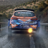 Ford Fiesta Rally 2 Maxime Potty 2021