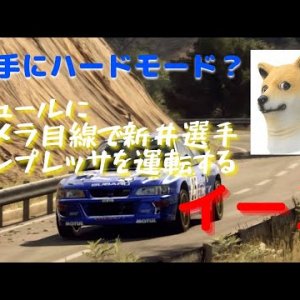 A dog looking at the camera driving Toshi Arai's Impreza in surrealism