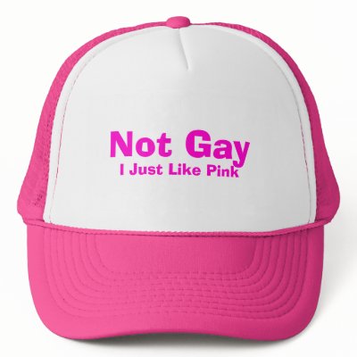 not_gay_i_just_like_pink_hat-p148263877136374566u2x9_400.jpg